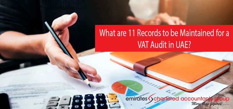 VAT Audit in UAE